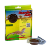 Lucky Reptile Beardie Jelly EXP