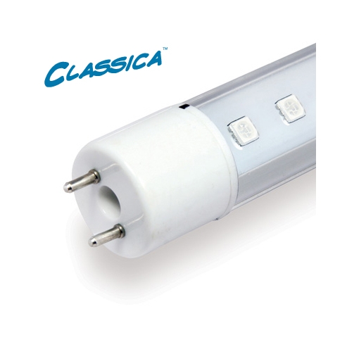 Arcadia Classica LED T8 Sunlight