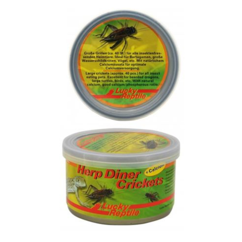 Lucky Reptile Herp Diner - cvrčci 35g