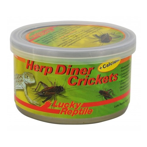 Lucky Reptile Herp Diner - cvrčci 35g