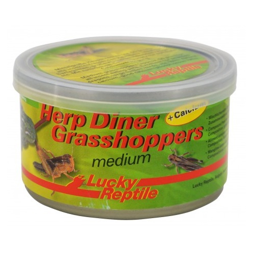 Lucky Reptile Herp Diner - sarančata 35g