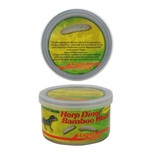 Lucky Reptile Herp Diner - bambusoví červi 35g