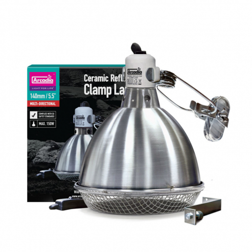 Arcadia Clamp Lamp